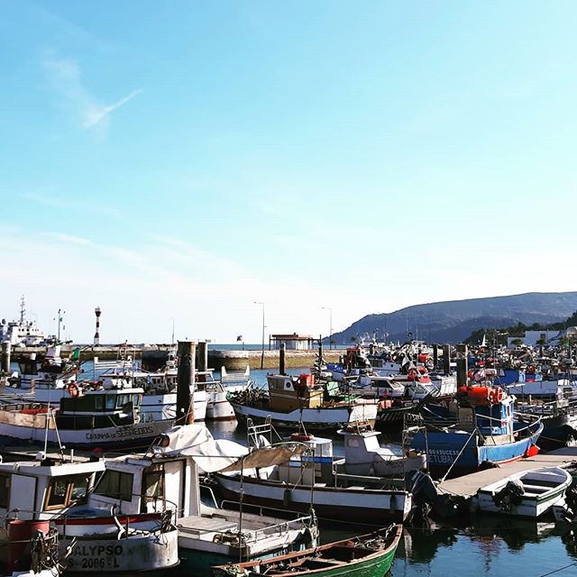 imagem de barcos em Setúbal