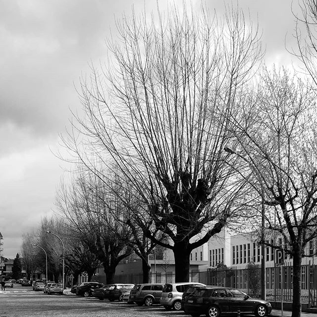 imagem de uma rua no inverno em Braga